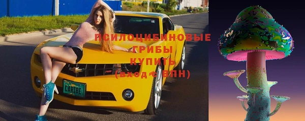 индика Каменка