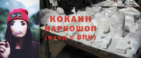 индика Каменка