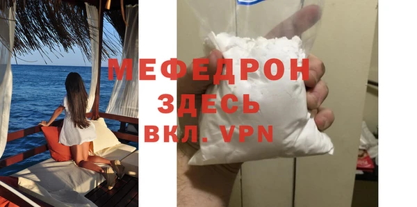 индика Каменка