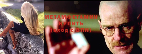индика Каменка