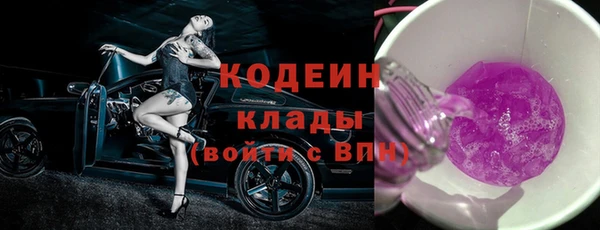 индика Каменка