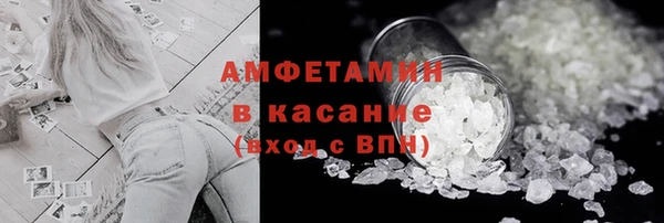 индика Каменка