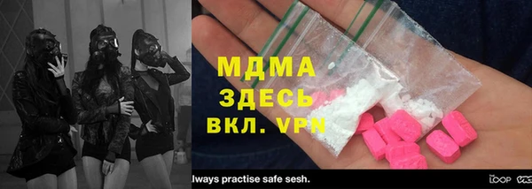 индика Каменка
