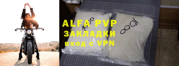 индика Каменка