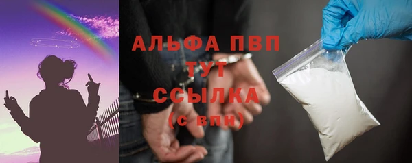 индика Каменка