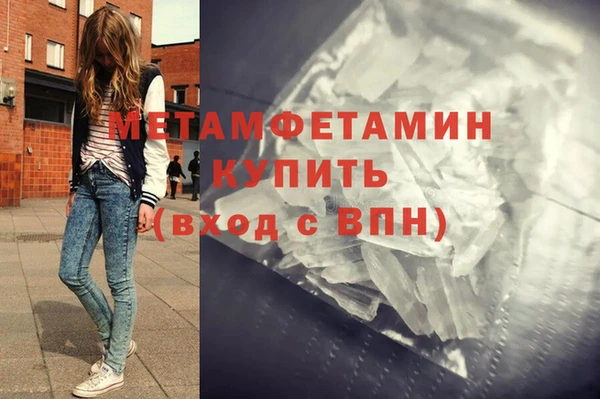 индика Каменка