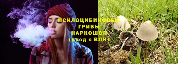 Альфа ПВП Каменск-Шахтинский