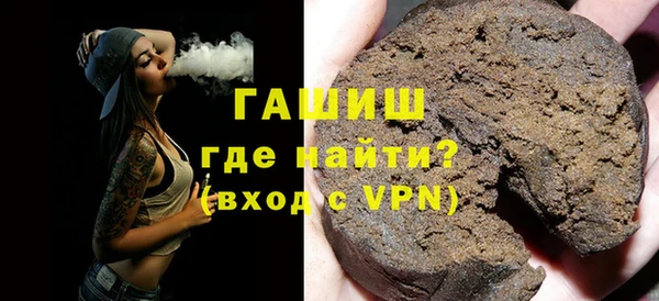 индика Каменка