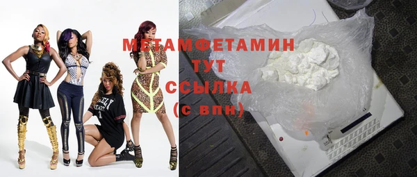 индика Каменка