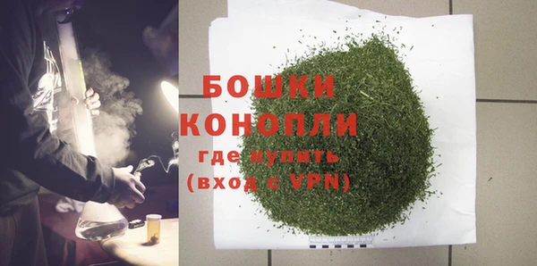 индика Каменка