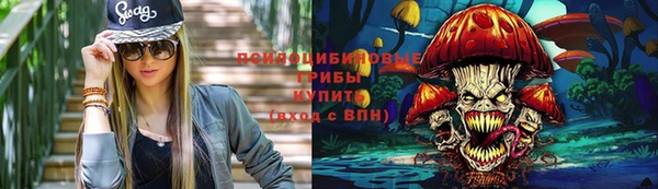 индика Каменка