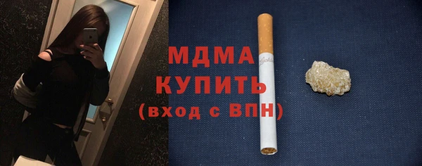 индика Каменка