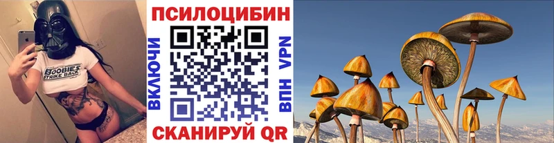 Псилоцибиновые грибы мицелий  Купить закладки  Гаджиево 